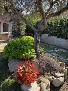 Villa Sarah Elegance and relaxation img10