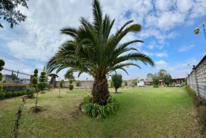 La Palma, Suites Campestres