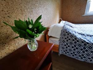 Lipowa 6 Łagów Lubuski