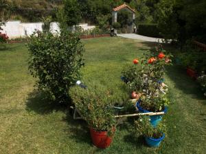 The VILLAge