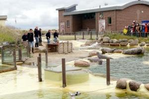 Ferienhaus Krabbe, 8 Personen, 3-4 Schlafzimmer