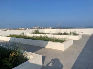 Appartements Embarquer sur le navire : photos des chambres