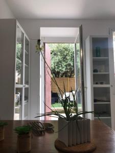 Appartements L-oliveraie : photos des chambres