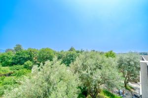 Villas Maison avec jardin Vue degagee : Villa 3 Chambres