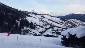 Résidence Cristallin - Le Cristallin 30 - Beau 2 pièces au pied des pistes MAE-4764