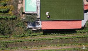 Quinta da Coitada - Alojamento Local