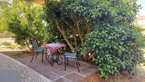 Boat dreams , garden relax