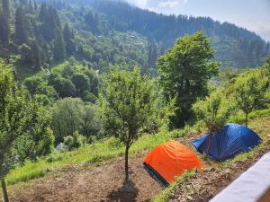 Meet by cooincidence homestay - A place of peace and nature