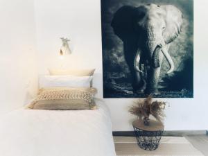 Appartements DELUX L'EVASION : photos des chambres