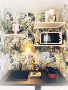 Appartements DELUX L'EVASION : photos des chambres