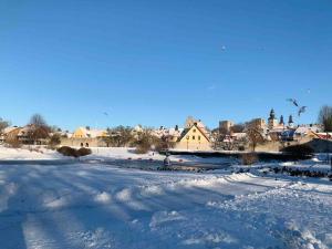 Romantic old town home