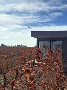 ENTREVID suite amanecer