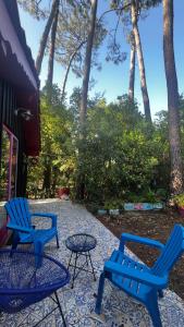 Le Cabanon entouré de Pins