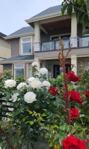White Rose House
