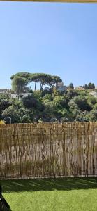 Cosy T4 walk to Center, Festivals,Congress,Beach