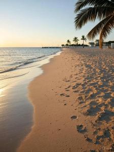 جولف مارينا