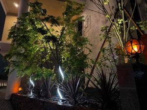 Beppu Onsen Resort Stay SPA TSURUMI - Vacation STAY 48219v