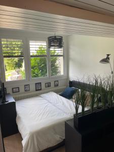 Apartment Garden West