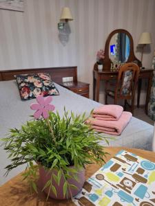 Apartament 305 metrów do morza