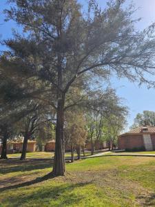 Cabañas Splash Valladolid