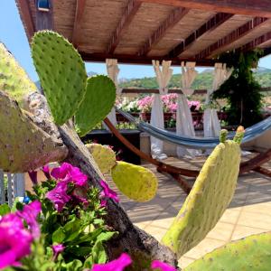 VillaFe San Teodoro img16