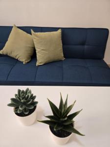 Easy Stay Mare & Smart Working