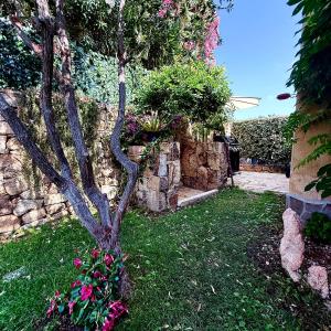 VillaFe San Teodoro img4