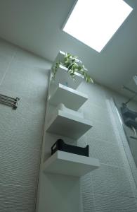 Appartements Appt T3 Residence La Belle Eugenie : photos des chambres