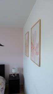 Appartements Appt T3 Residence La Belle Eugenie : photos des chambres