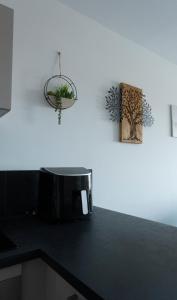 Appartements Appt T3 Residence La Belle Eugenie : photos des chambres