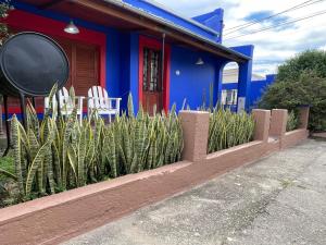 Villa Tequila-Casa Frida