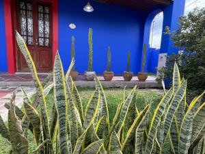 Villa Tequila-Casa Frida