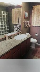 Panepoo Island Oasis