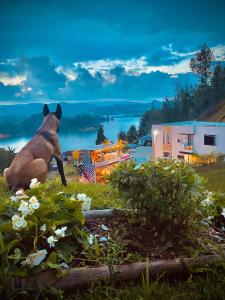 GUATAPE By MONTE GANDOLFO