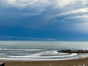 Genus IV Perla Norte