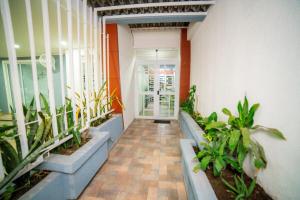 Comfortable apartamento 201