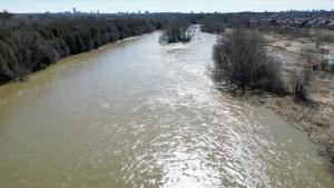 Beautiful Separate Unit, GrandRiver & Kiwanis Park