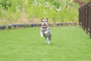 Habitacion Cottage Suzu