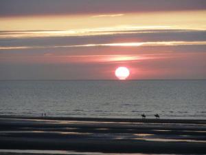 Apartment in Oostduinkerke with sea view