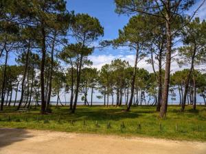 Villas Peaceful Villa in Castle Park : photos des chambres