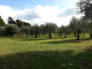 SERRA E MESU Affittacamere img42