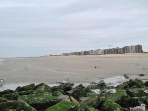 Vitalo 502 apartment on the beach of Koksijde, cleaning included