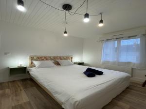 Appartements Apartment in Noyen near Le Mans Circuit : photos des chambres