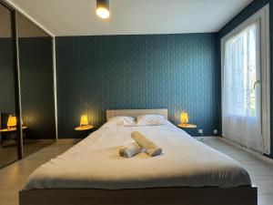 Appartements Apartment in Le Mans near Antares Stadium : photos des chambres