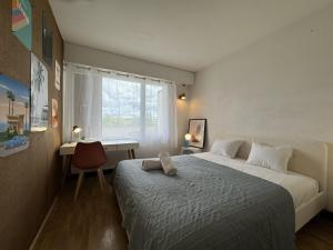 Appartements Apartment in Le Mans near 24H Circuit : photos des chambres