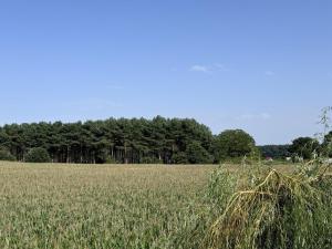 Maisons de vacances House near Le Mans Circuit with Spa : photos des chambres