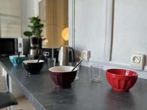 Villas Villa in Le Mans near Plantagenet City : photos des chambres