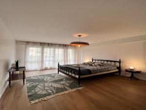 Appartements Apartment in Le Mans with Retro-Chic Style : photos des chambres