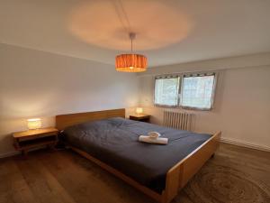 Appartements Apartment in Le Mans with Retro-Chic Style : photos des chambres