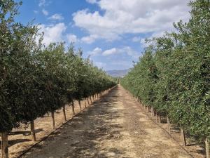 Casa acogedora cerca de la playa en San Juan de los Terreros - ES-376-9